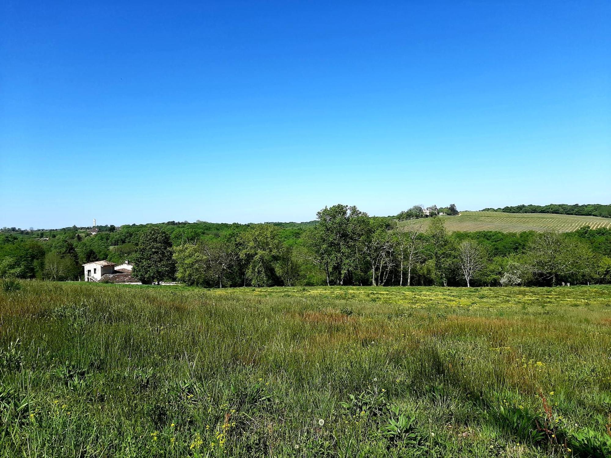 Aux Tuileries Nord B&B Créon Buitenkant foto